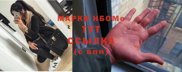ешки Бородино
