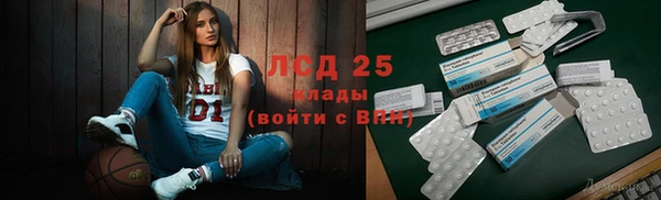 шишки Беломорск