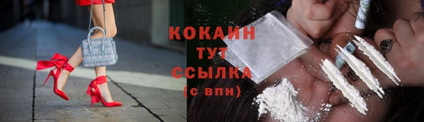 шишки Беломорск