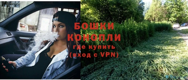 шишки Беломорск