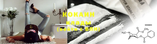 шишки Беломорск