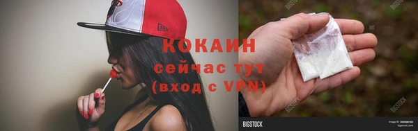 ешки Бородино