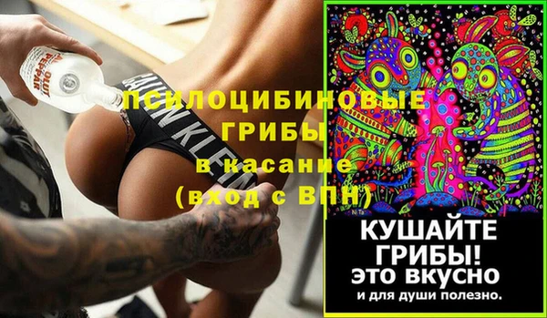 шишки Беломорск