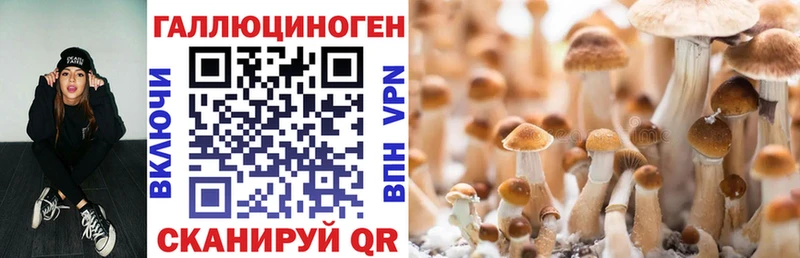 Галлюциногенные грибы прущие грибы  Бирск 